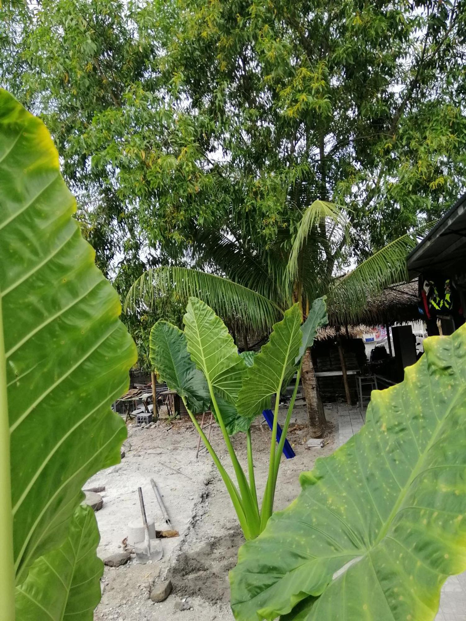 Хостел Katrina'S Dorm Tarlac City Екстер'єр фото